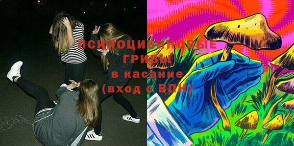 2c-b Верхнеуральск