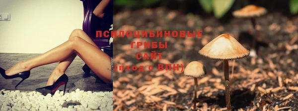 мескалин Верхний Тагил