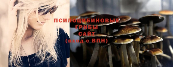 2c-b Верхнеуральск