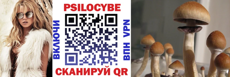 наркотики  Дербент  Галлюциногенные грибы прущие грибы 