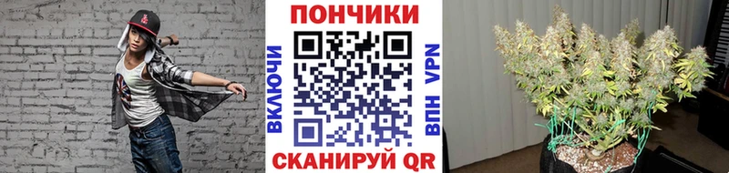 гидра рабочий сайт  Дербент  Конопля марихуана 